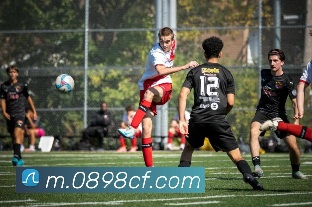 超凡国际平台生态图